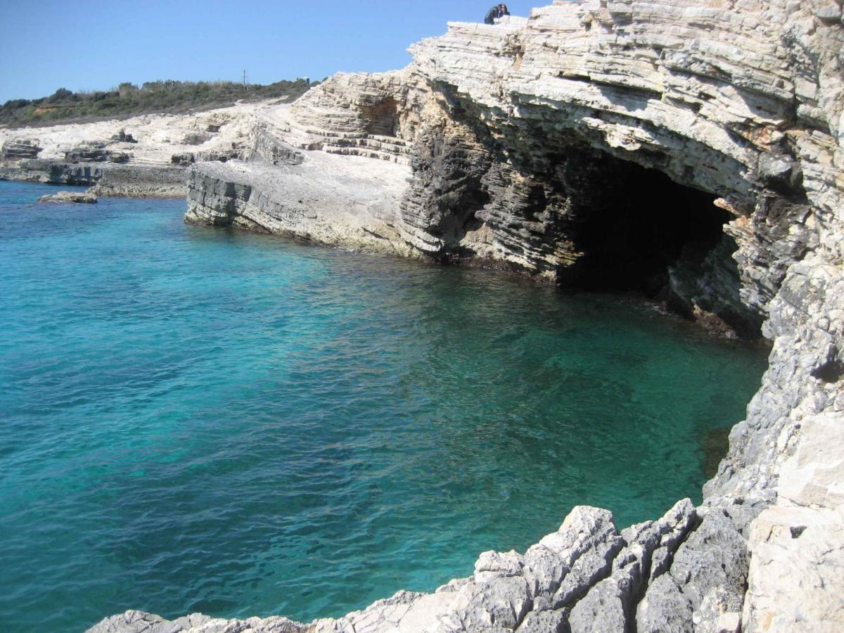 Apartment Ivis Vinkuran Εξωτερικό φωτογραφία